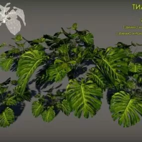 Tropical Plant Bushes 3d model