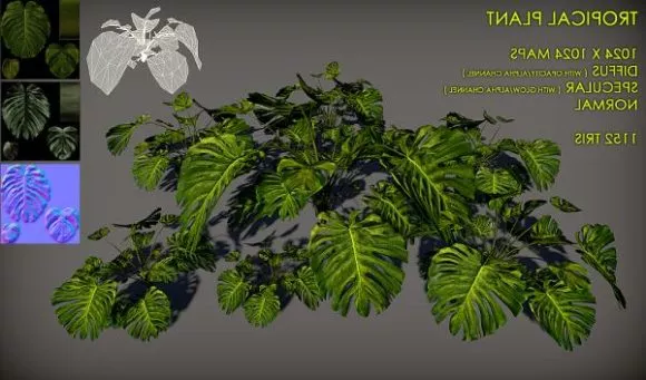 Blackboard Tree, Milkwood Pine Flower 3d model