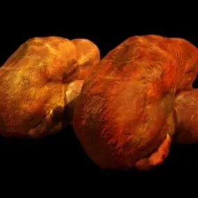 Turkey Fried Food 3d model