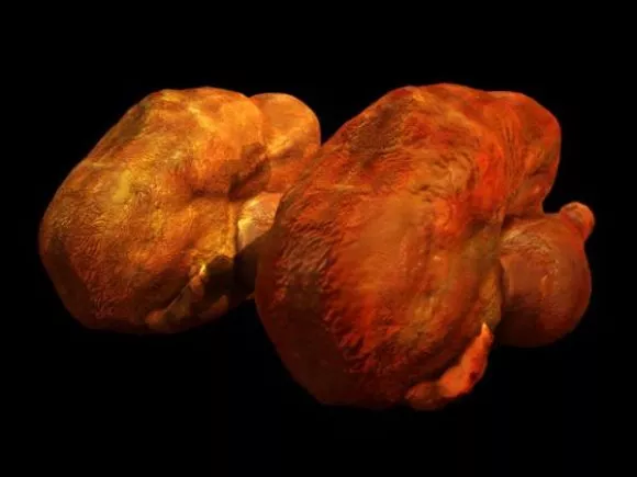 Slice Bread Food 3d model