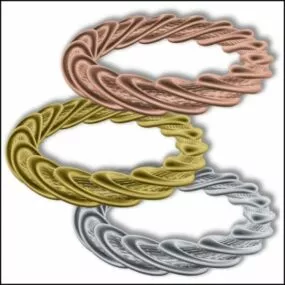 Twisted Ring Shape 3d model