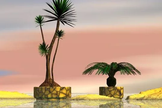 Tropical Palms In Pots 3d model Tropical Palms In Pots 3d model