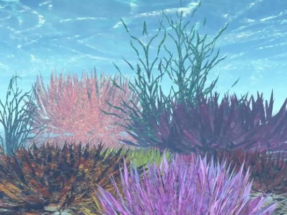 Under The Sea With Colorful Coral 3d model Under The Sea With Colorful Coral 3d model