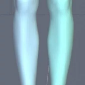 Leg Anatomy Character 3d model