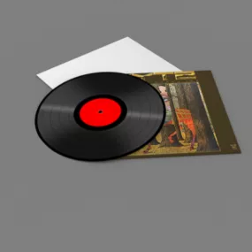 Vinyl Record Set 3d model