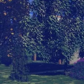 Jungle Weeping Trees 3d model