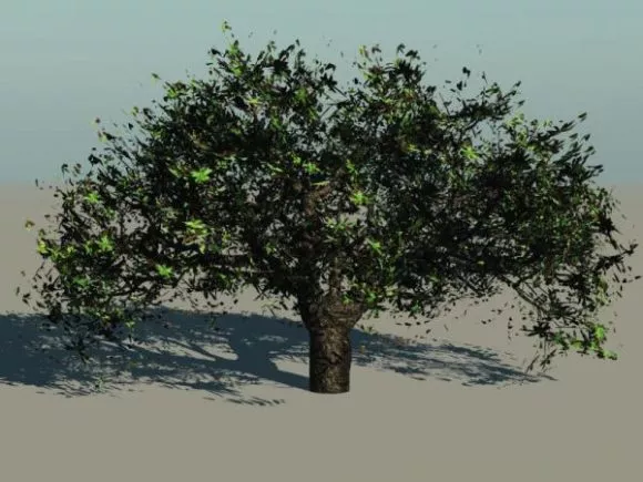 Spooky Tree Dry Branch 3d model