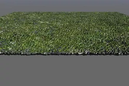 Beach Terrain Landscape 3d model