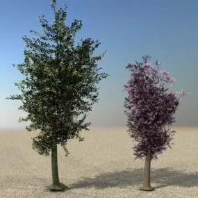 Young Tree Green Pink Leaf 3d model