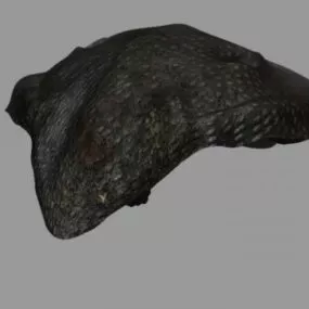 Bio Alien Spacecraft 3d model