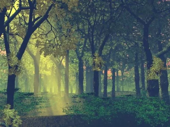 Fairy Spring With Trees Landscape 3d model