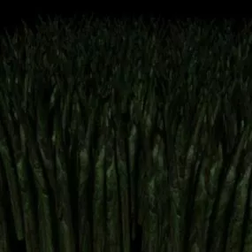 Detailed Grass Plant 3d model