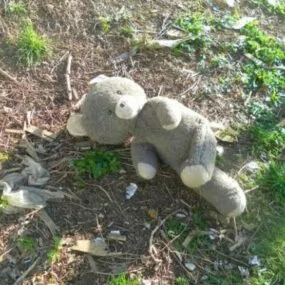 Abandoned Toy Teddy Bear 3d model