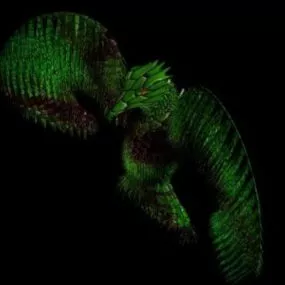 Predator Alien Character 3d model