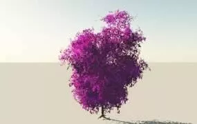 Purple Broadleaf Tree 3d model