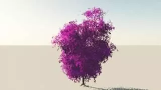 Low Poly Coconut Tree 3d model