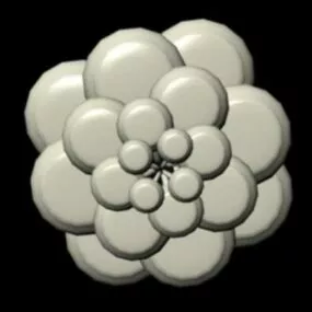 Wall Light Shade 3d model