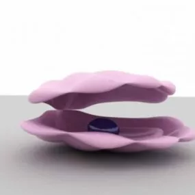 Shell Case 3d model