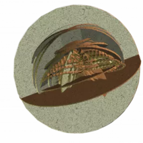 Artifact Shape 3d model