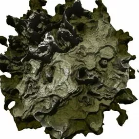 Moss Terrain 3d model