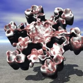 Curve Shape 3d model