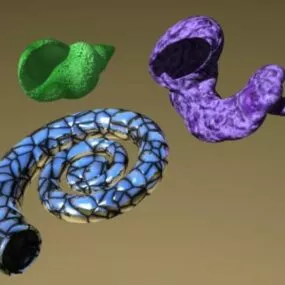 Shell Shape 3d model