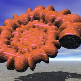 Spiral Shell Shape 3d model