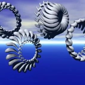 Sperm Circular Shape 3d model