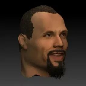 The Rock Man Head 3d model