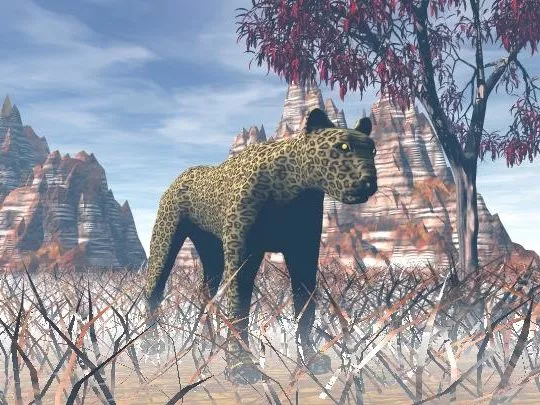 Savana Leopard Animal 3d model Savana Leopard Animal 3d model