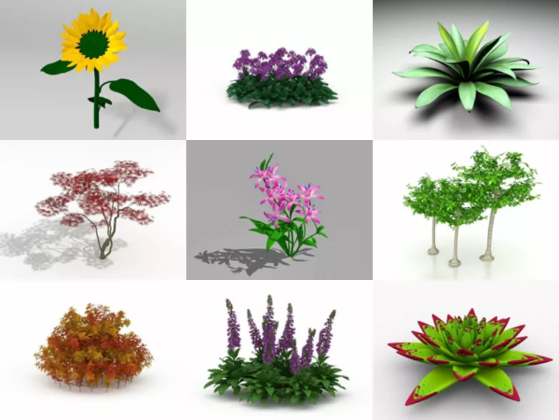 9 Garden Plant Tree Free 3D Models Feb.2024