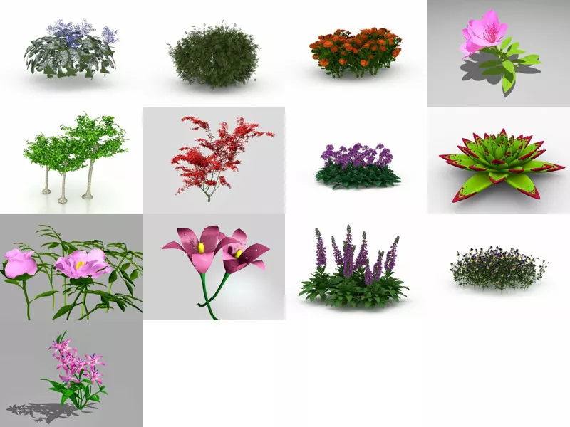 13 Garden Plant Bushes Free 3D Model Mar.2024