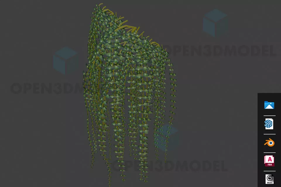 Rectangle Pot With Leaf Plant 3d model