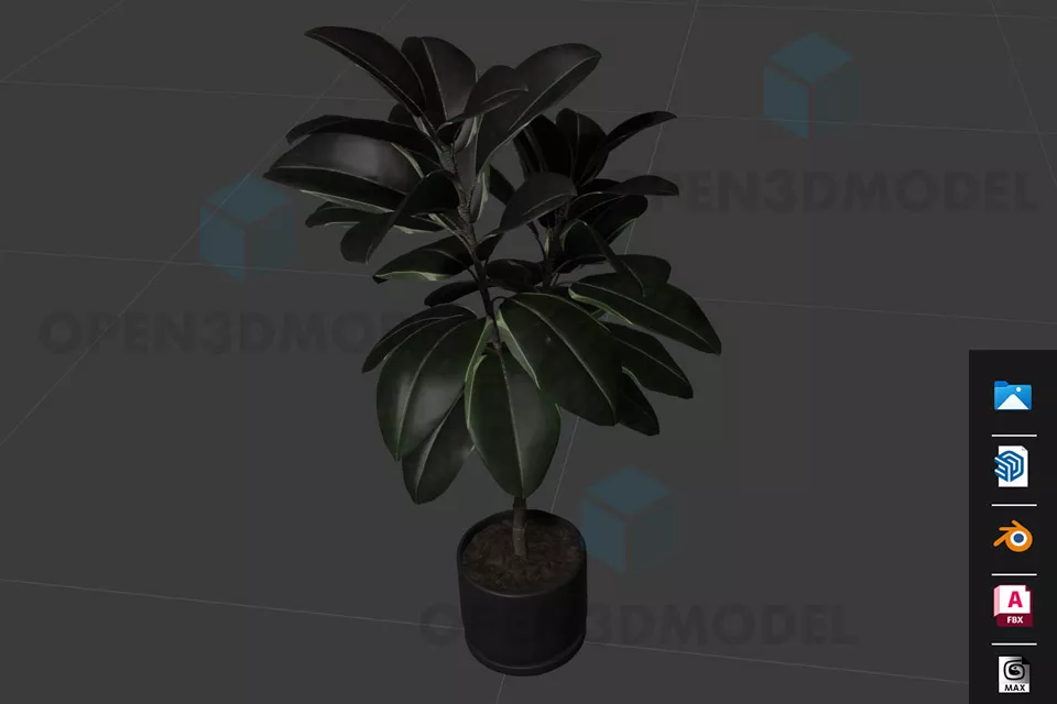 Aloha Leaf Plant 3d model