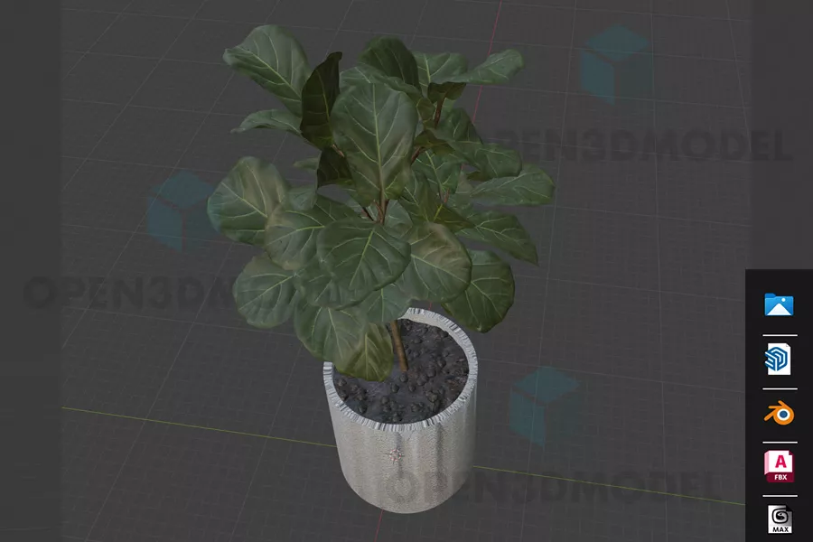 Big Leaves Plant In Ceramic Pot 3d model Big Leaves Plant In Ceramic Pot 3d model