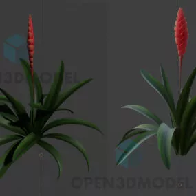 Fern Plants With Red Flower 3d model