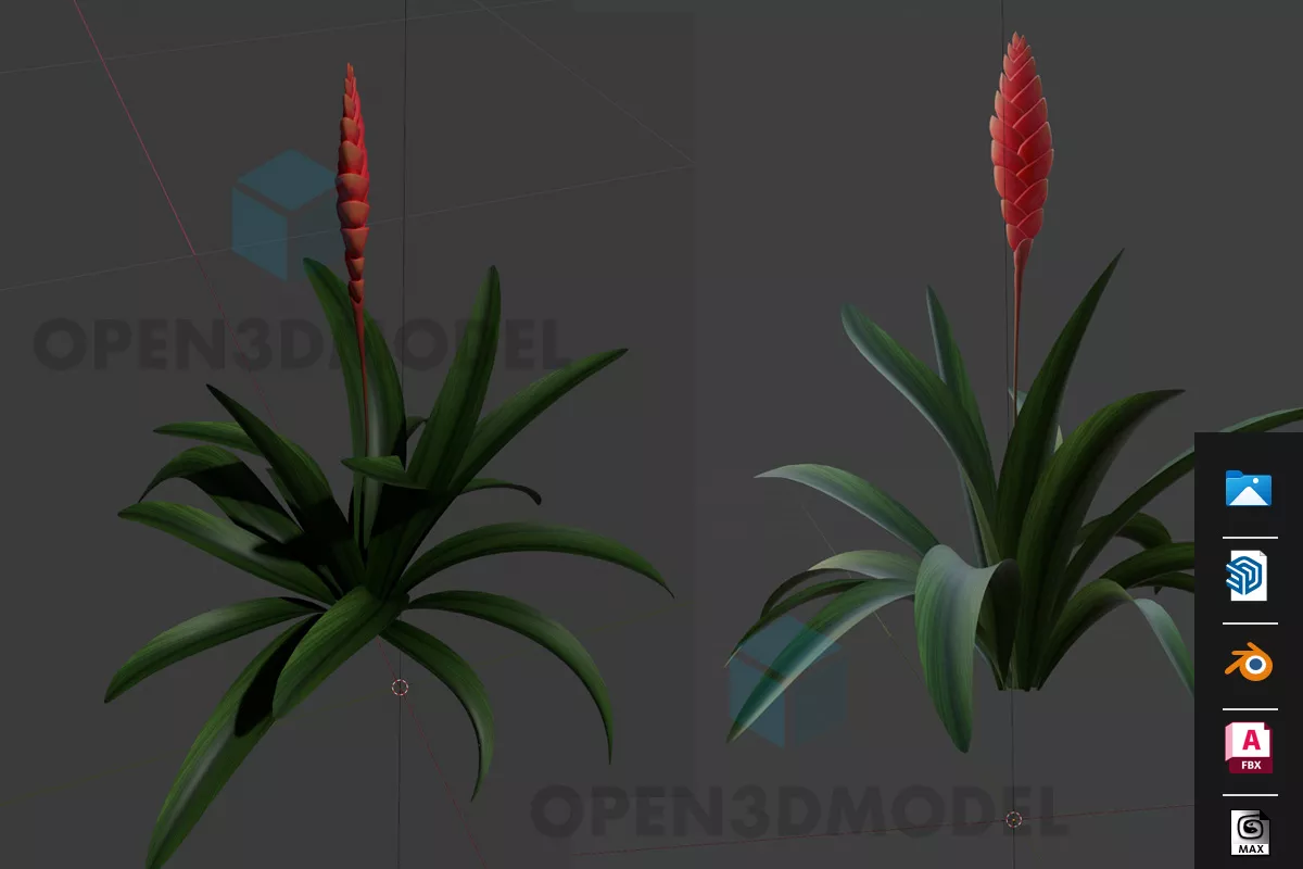 Small Green Plant Inside Glass Vase 3d model