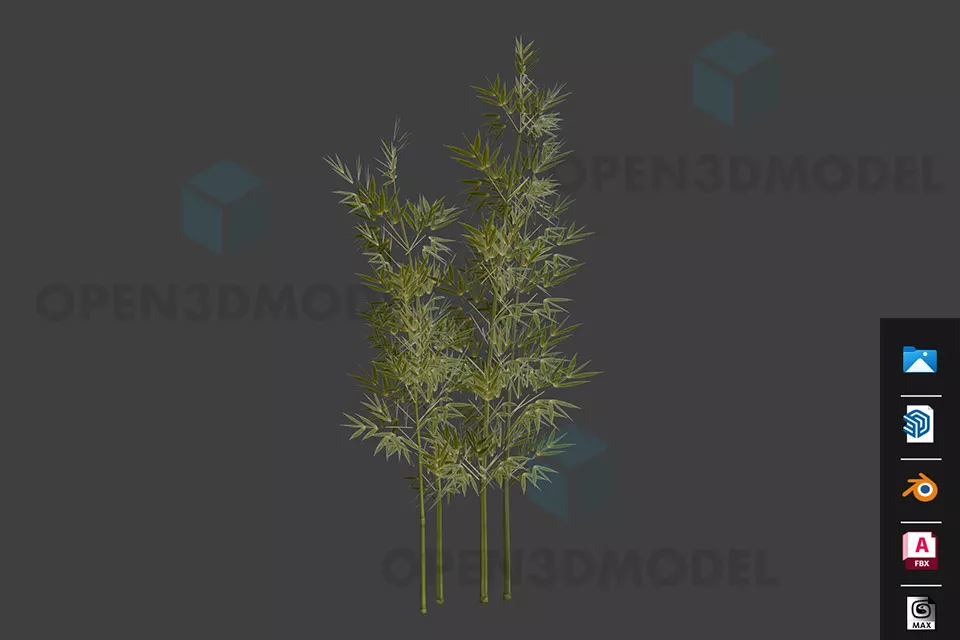 Bamboo Plant Tree, Bamboo Bush 3d model Bamboo Plant Tree, Bamboo Bush 3d model
