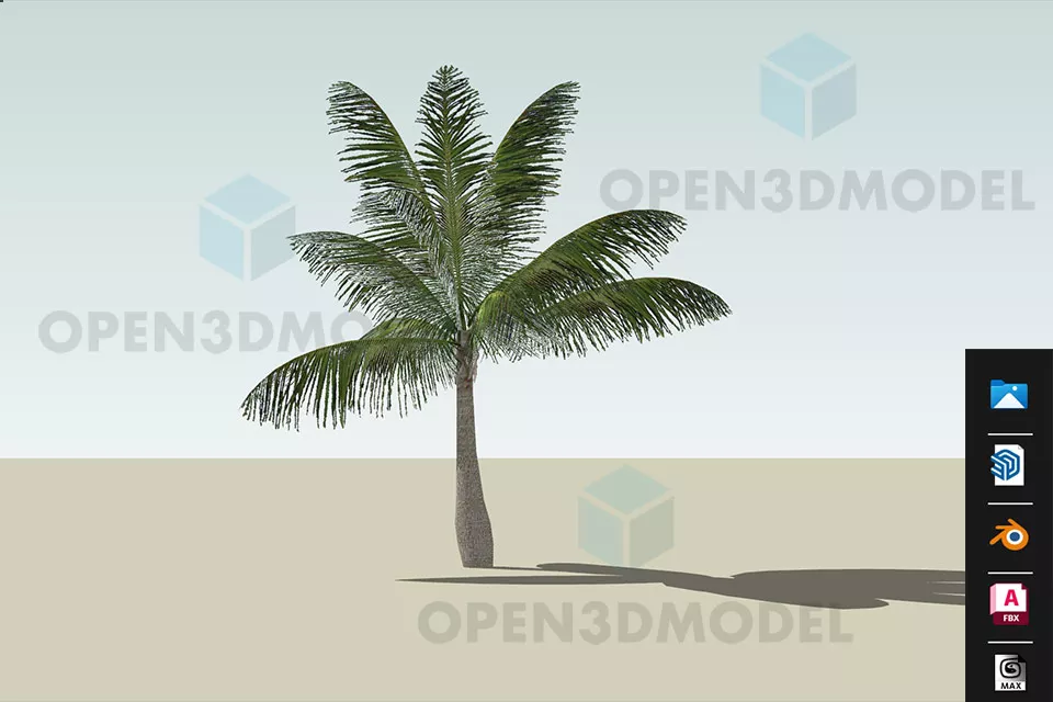 Dwarf Coconut Tree Free 3d Model - .Blend, .Fbx, .Max, .Skp - Open3dModel