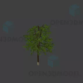 Blackboard Tree, Milkwood Pine Flower 3d model