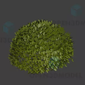 Soft Bushes Plant 3d model
