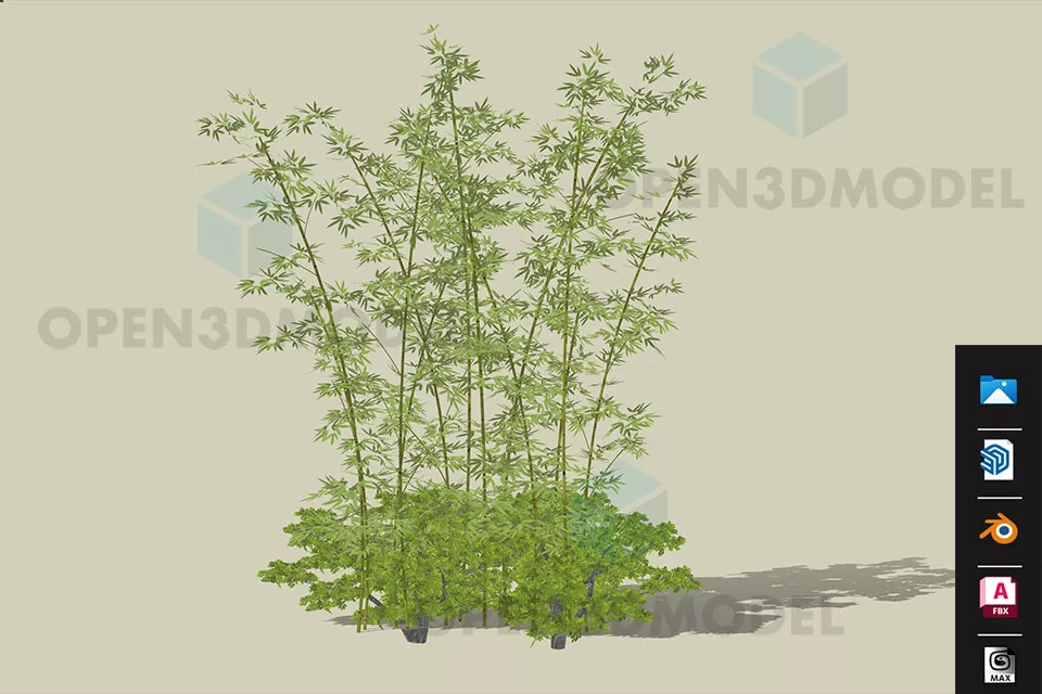 Bamboo With Shrub Plant 3d model Bamboo With Shrub Plant 3d model