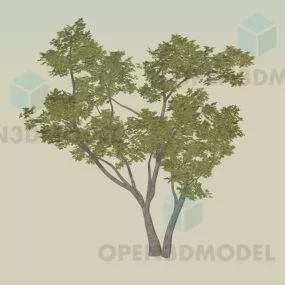 Green Leaves Garden Tree 3d model