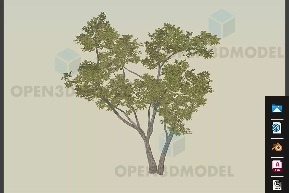 Large Willow Tree 3d model