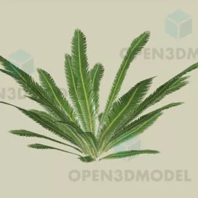 Outdoor Plant, Fern Plant 3d model