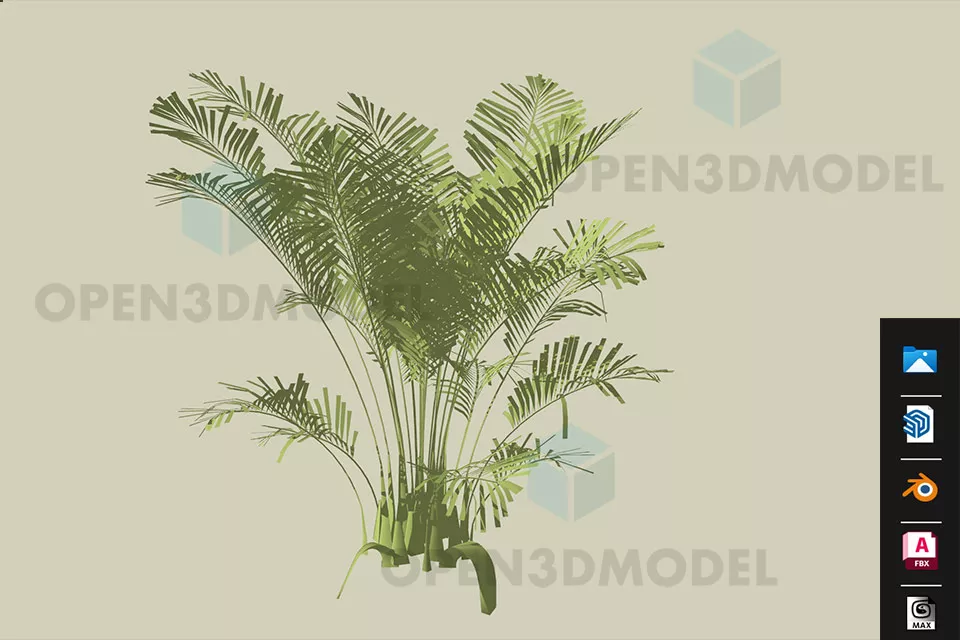 Palmilla Plant 3d model Palmilla Plant 3d model