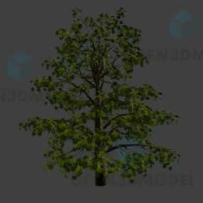 Garden Tree With Big Branch 3d model