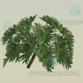 Split Leaf Plant 3d model