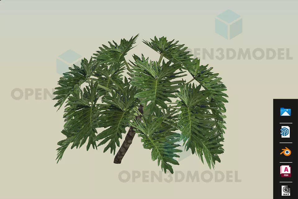 Split Leaf Plant 3d model Split Leaf Plant 3d model