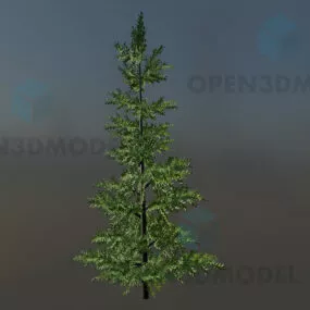 Tall Pine Tree 3d model